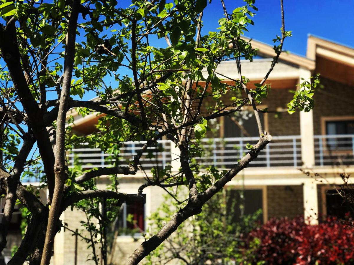 Villa Garden Shkodra - Housity