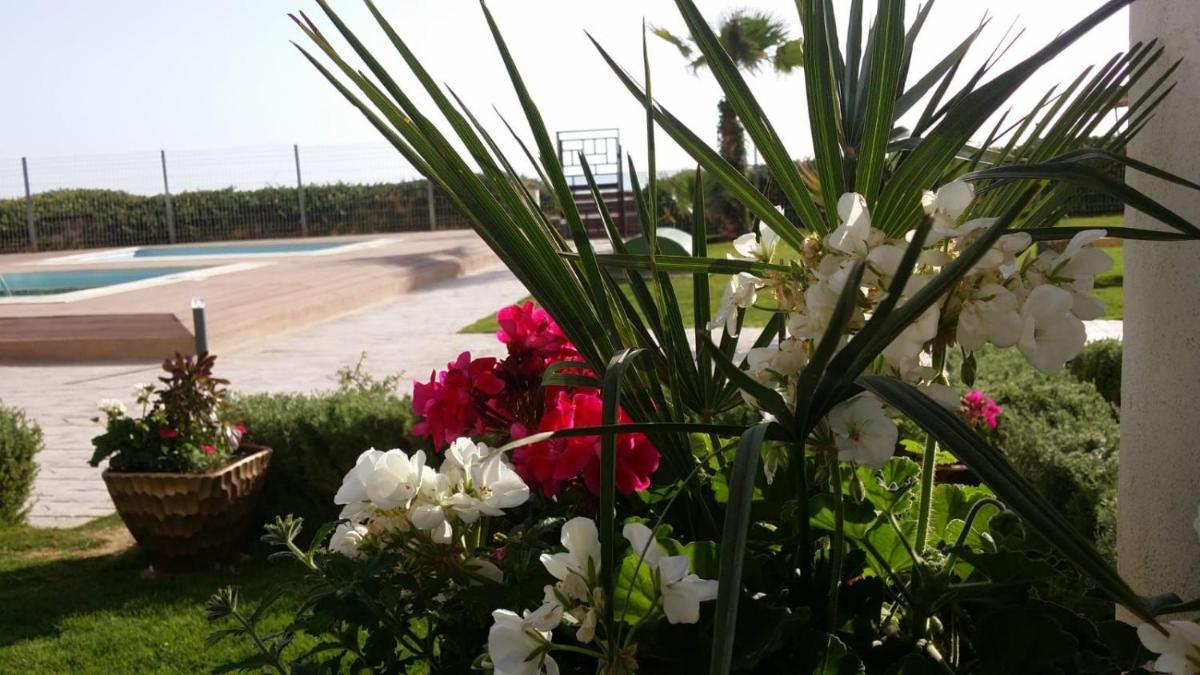 Beach Front Luxury Living Apartment - Housity