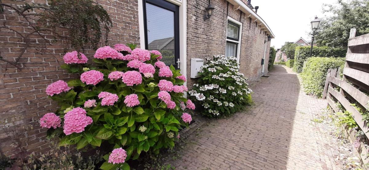 Appartement Torenzicht - Leeuwarden - Housity