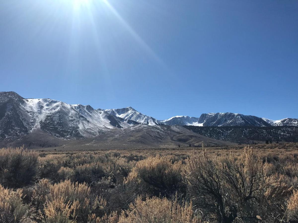 Mountainback 062 - Housity