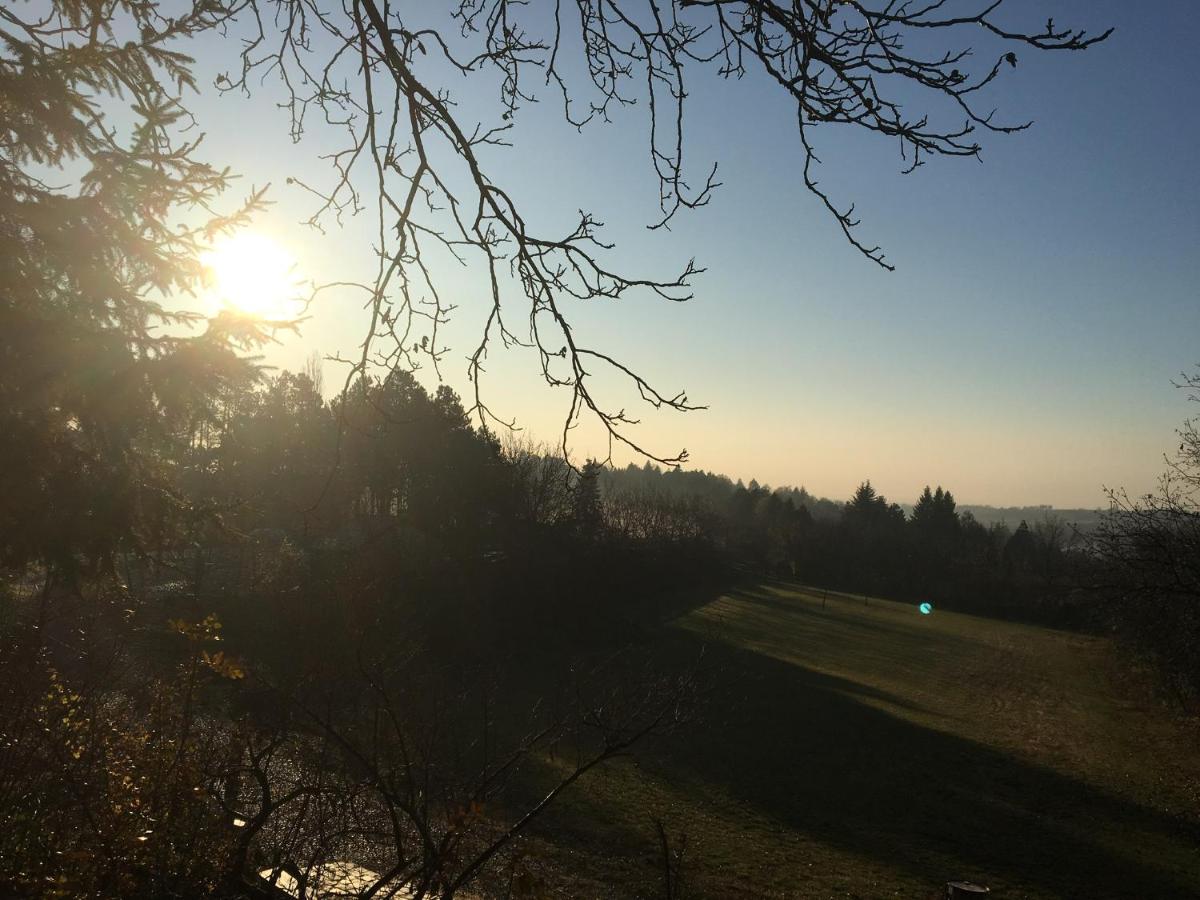 Guest House Mundzic- Sumski Mir - Housity