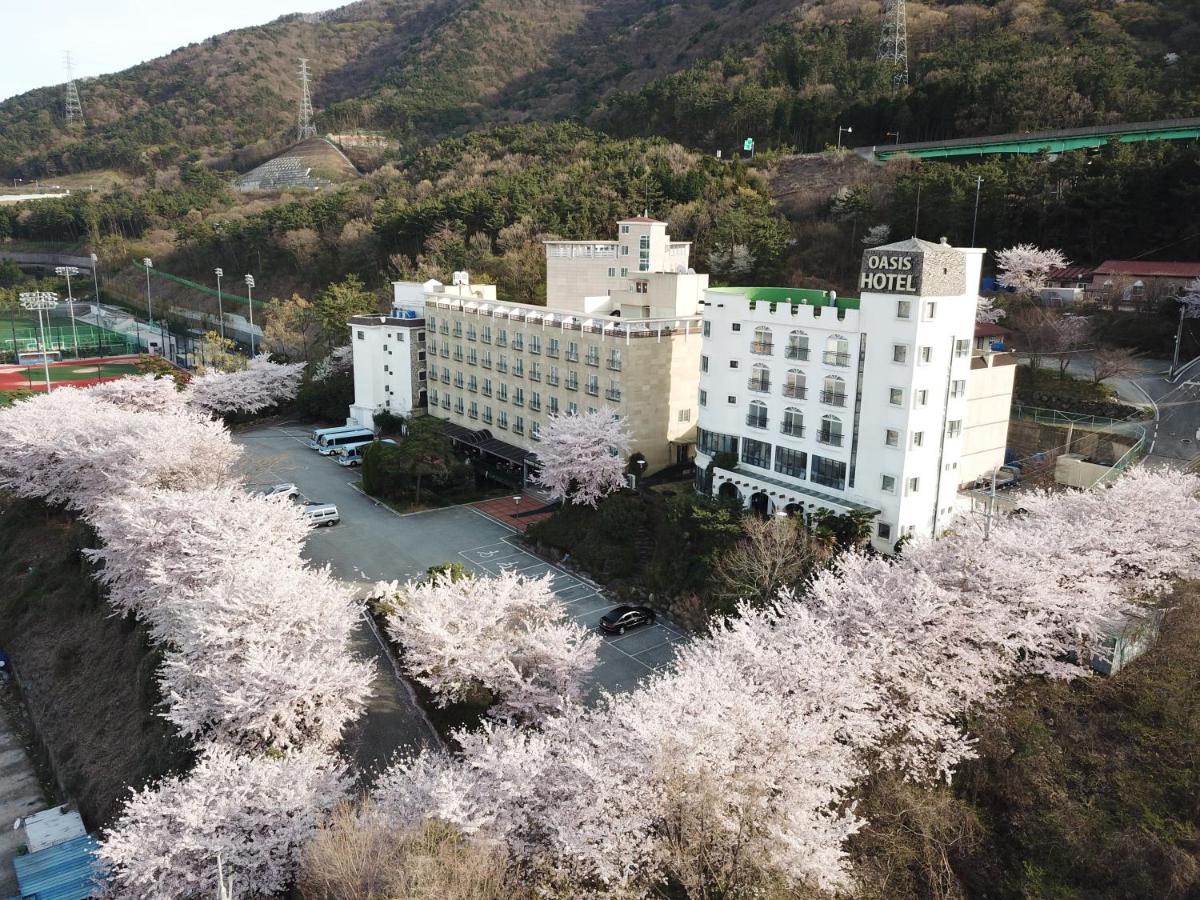 Geoje Oasis Hotel - Housity