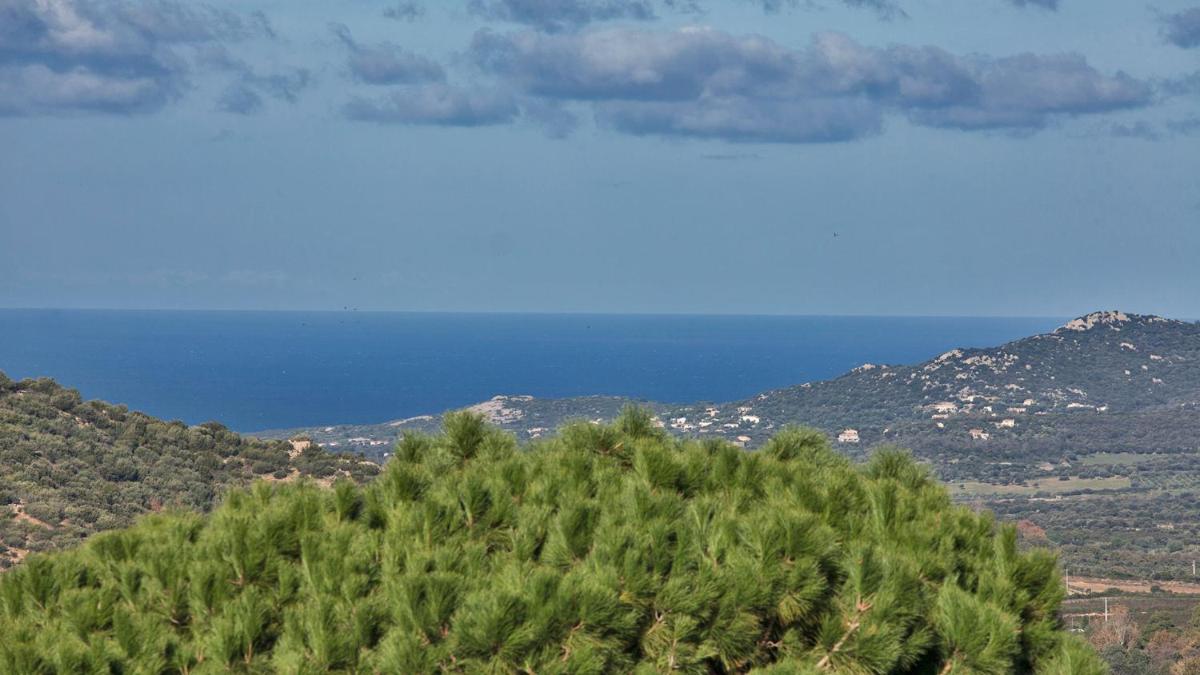 Suitetrails - locations calenzana