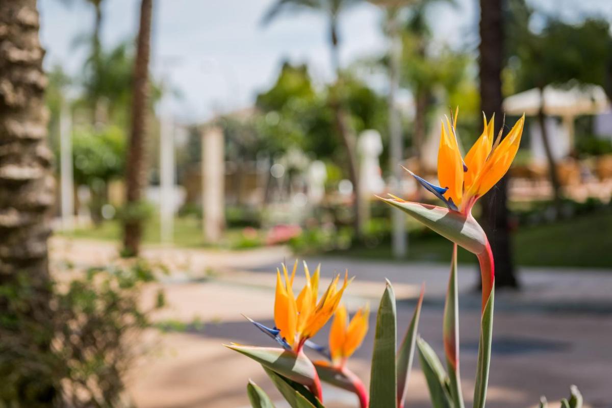 Jardín al aire libre en Alanda Marbella Hotel & Wellness