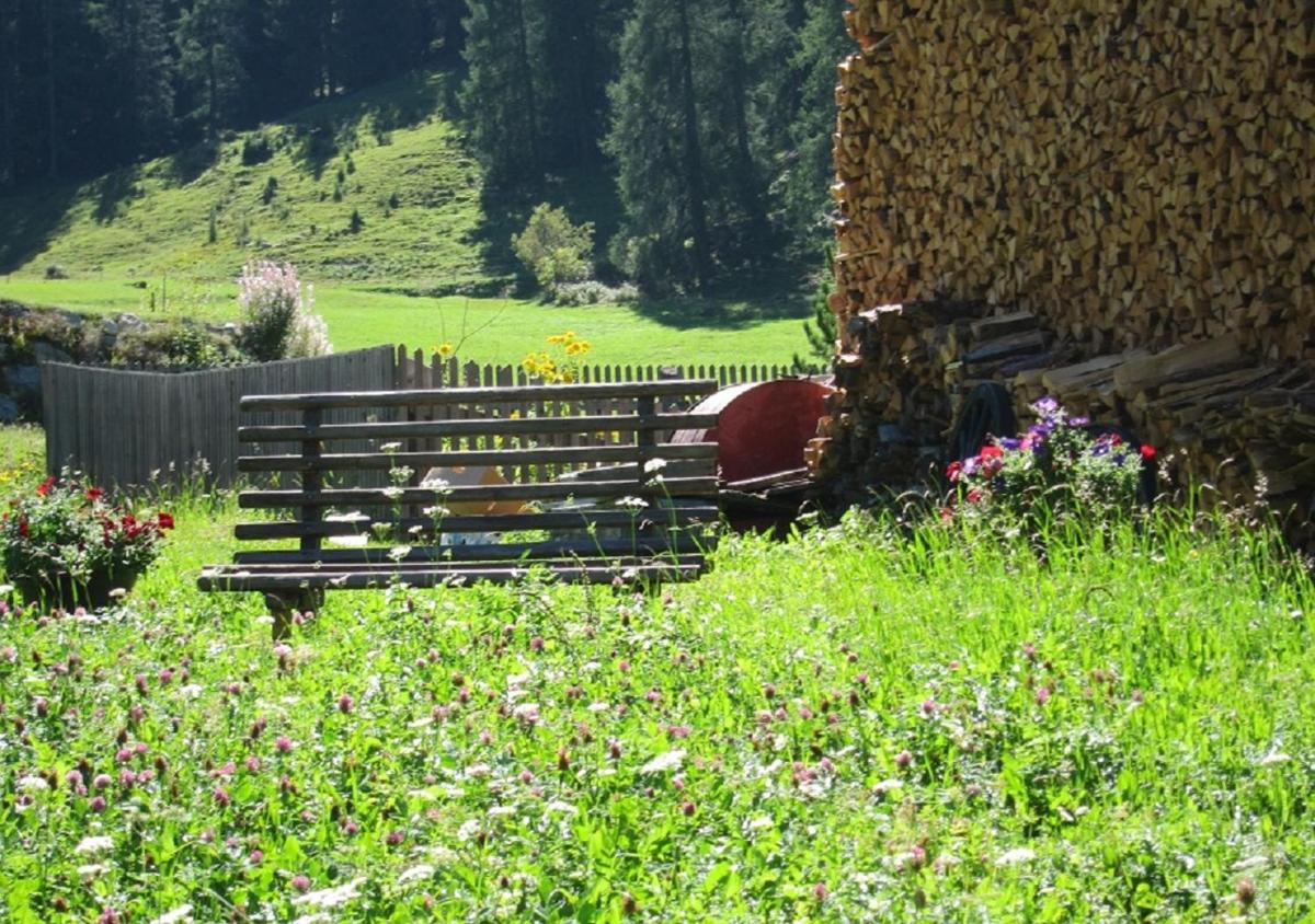 Fuldera Daint chasa Zanoli Whg im zweiten Stock - Housity