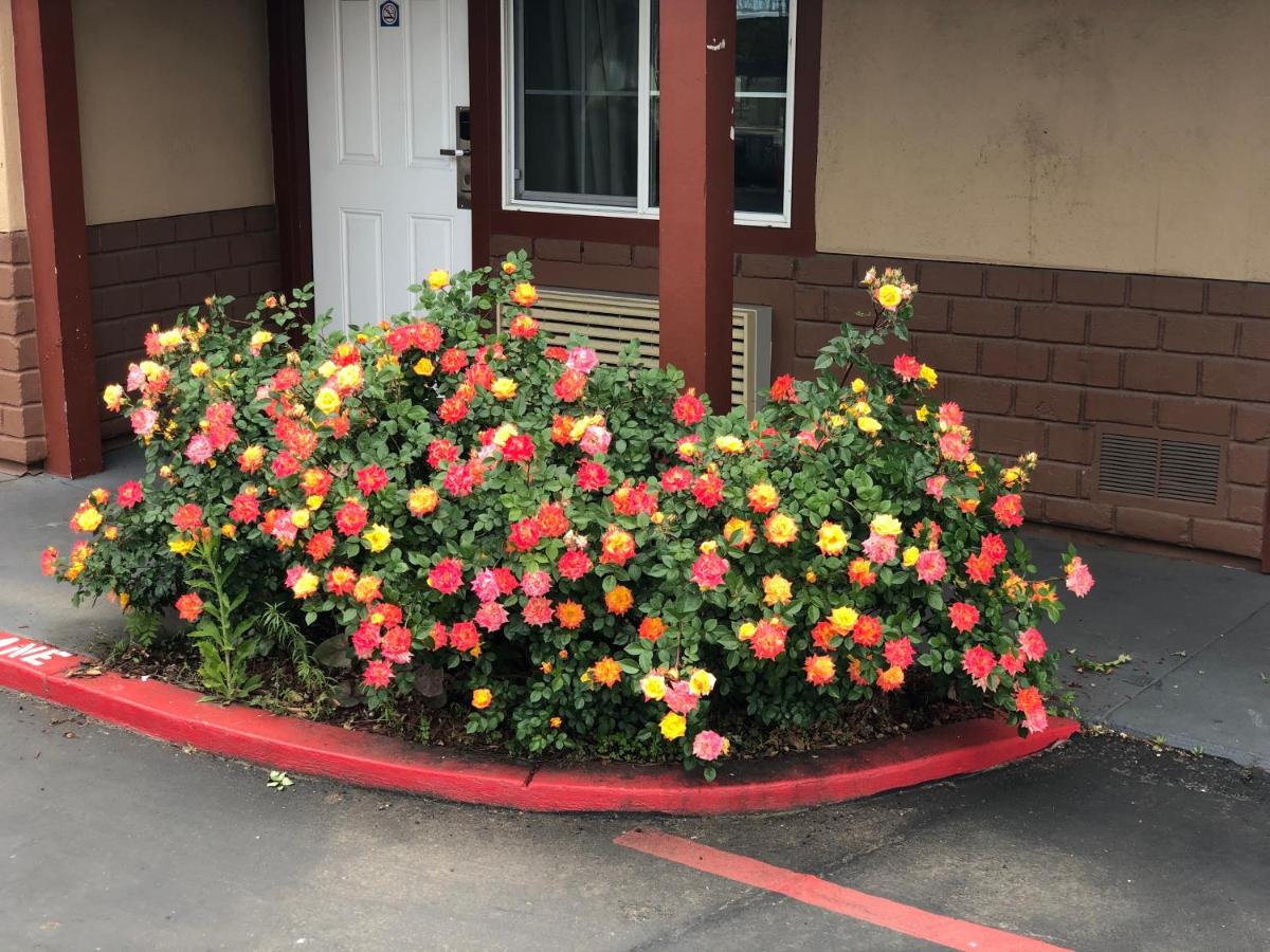 Haven Inn of Chico - Housity