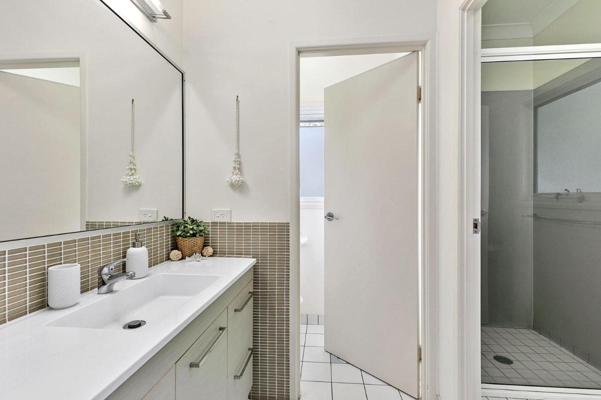 Grevillea - Housity