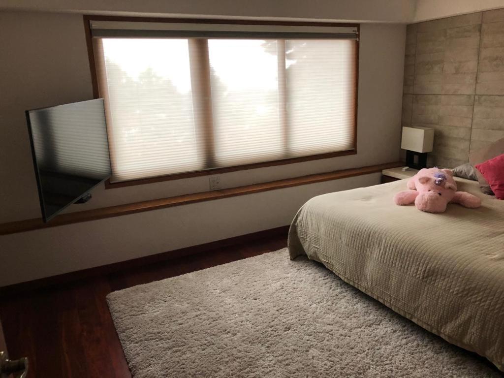 Habitaciones con baño privado disponibles - Housity