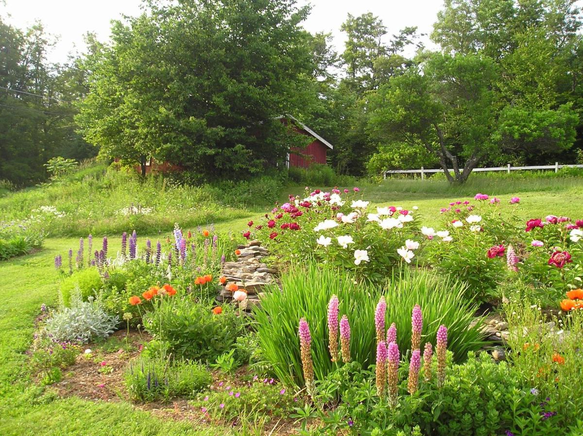 Cooper Hill Inn - Housity