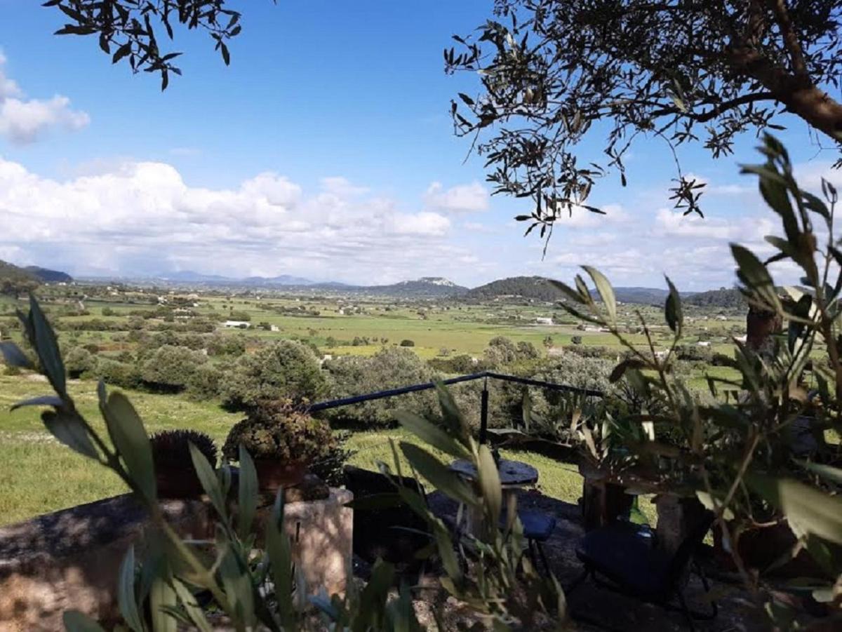 SON REAL Mansión en un lugar aislado con increibles vistas panorámicas - Housity