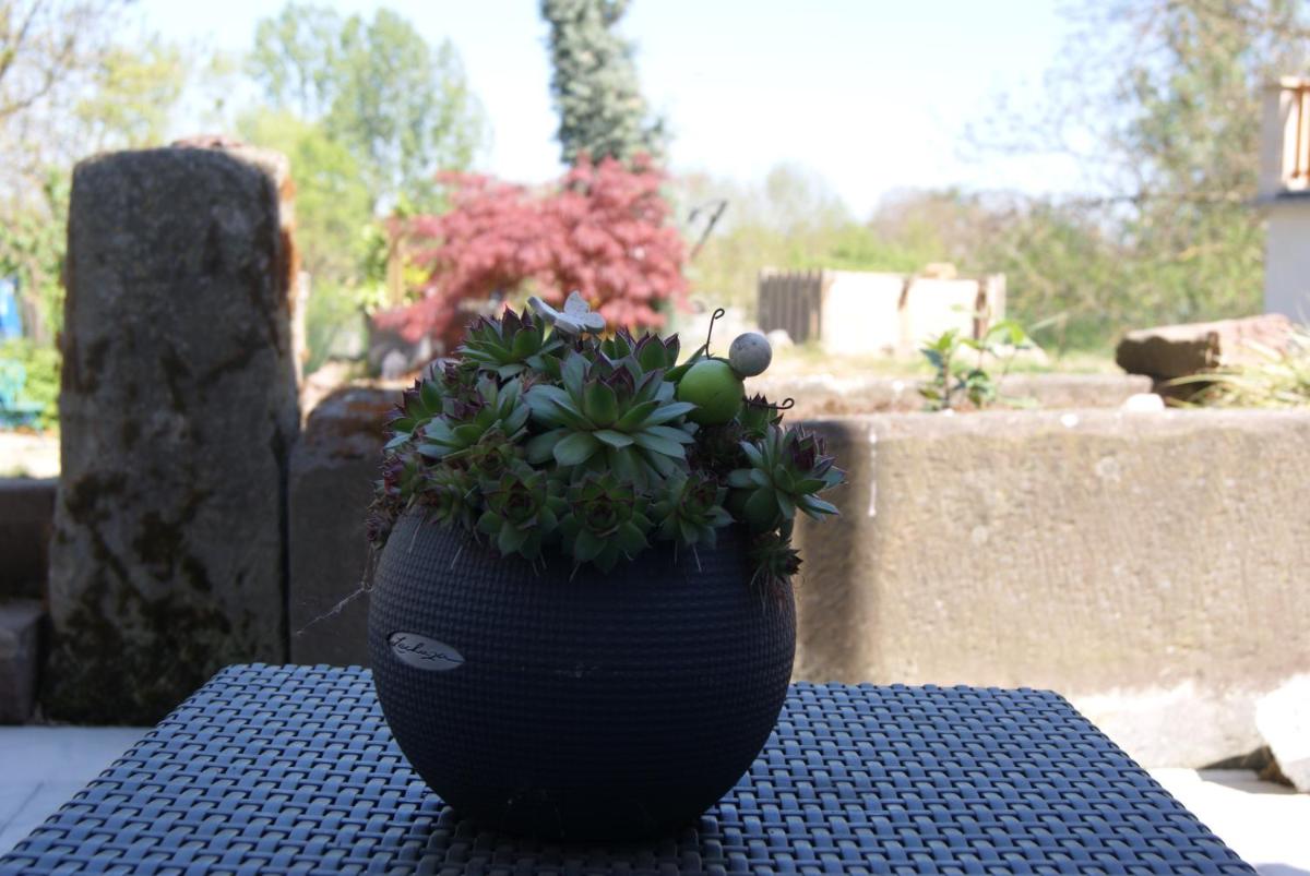 Appartement Petite Vallée - Housity