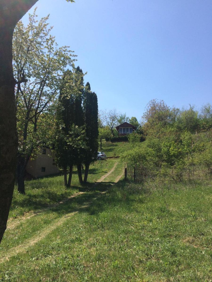 Holiday home Nanin konak 2 - Hizvo