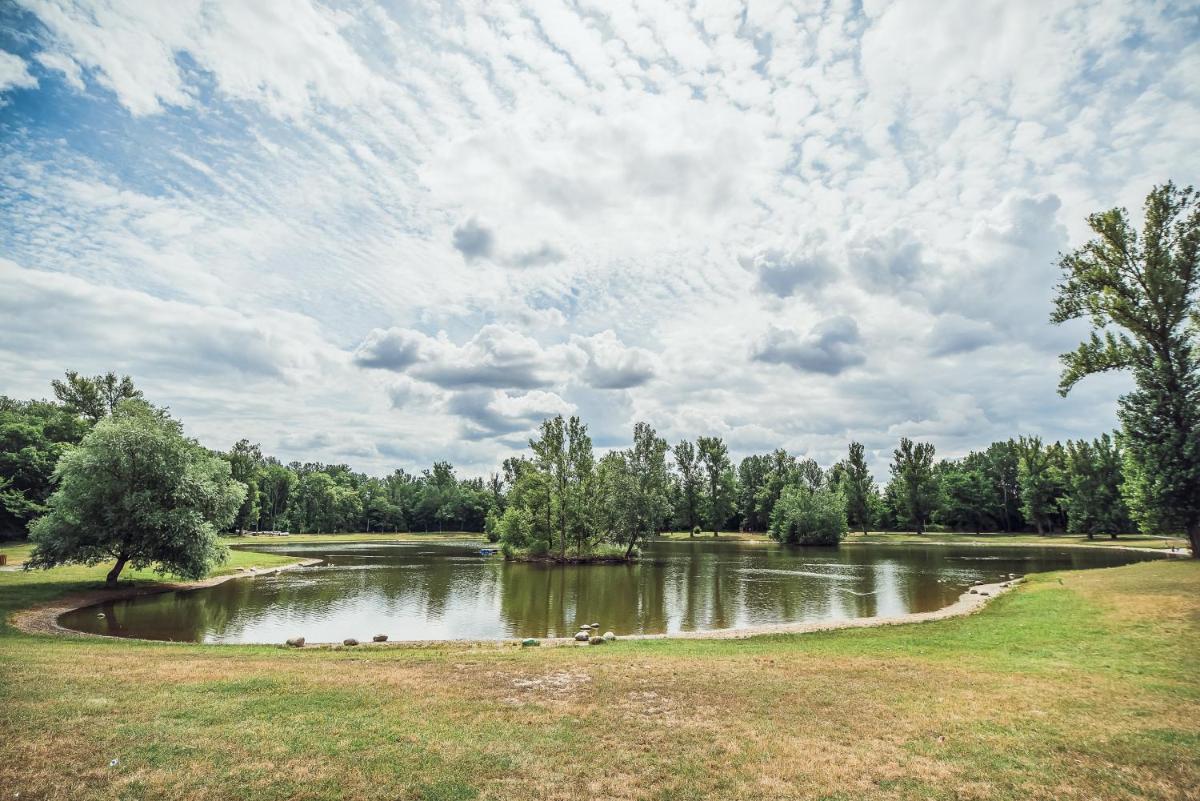 Skodova Apartments - Housity