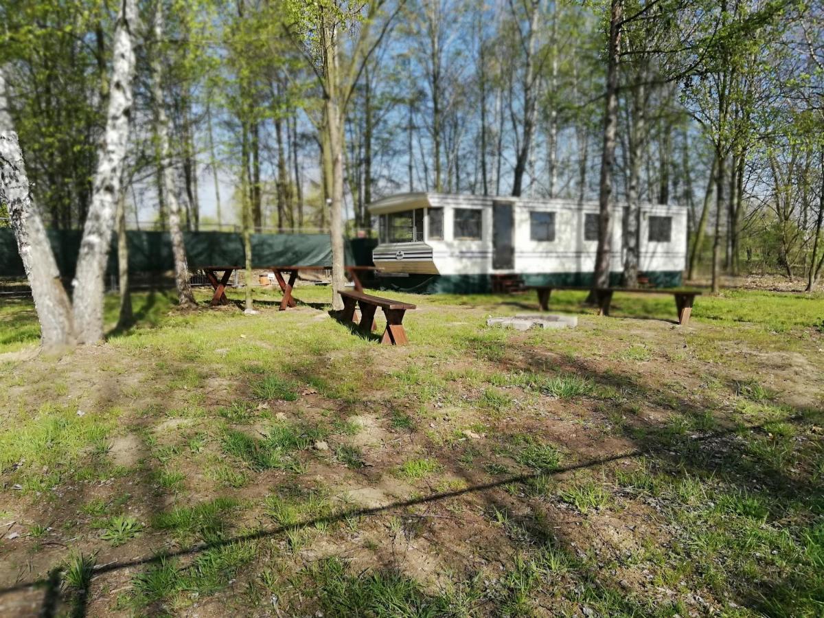 Domki nad Jeziorem Tarnobrzeskim - Housity