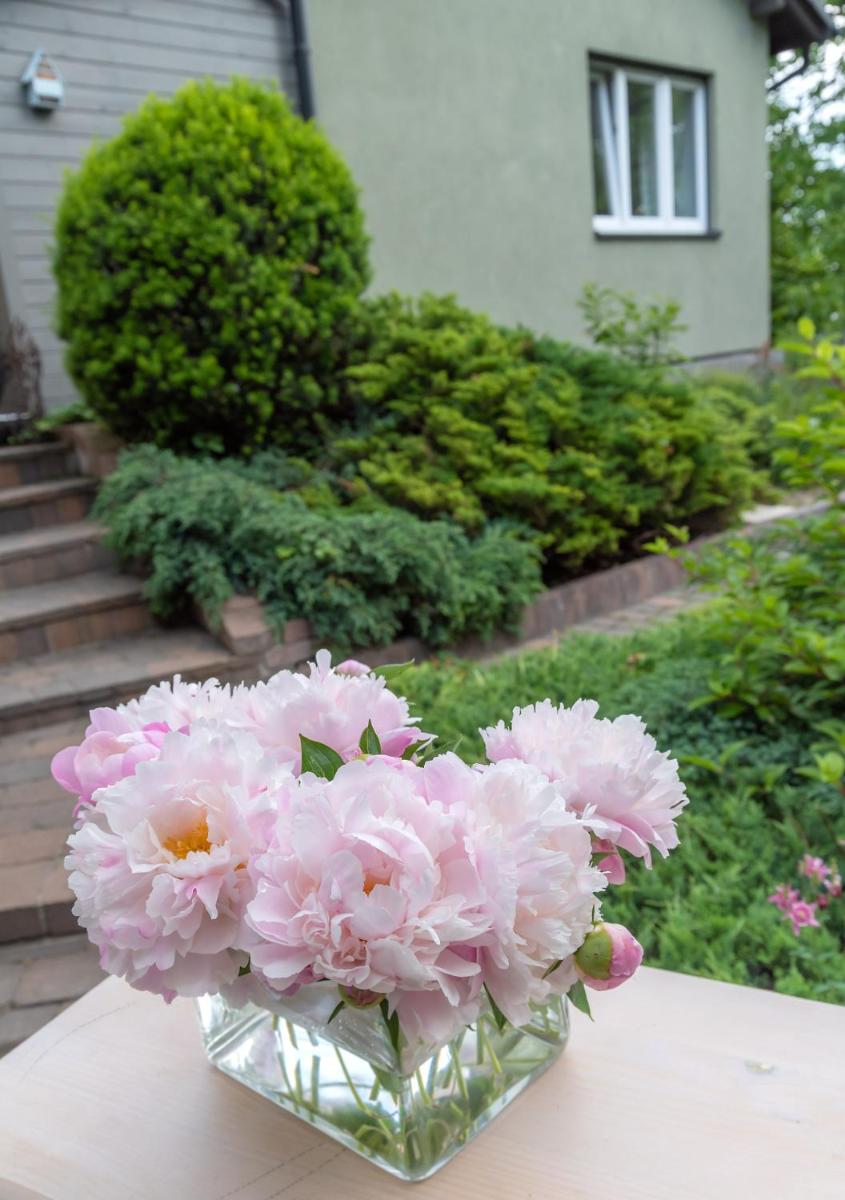 Green House - Two Bedroom Apartment - Housity