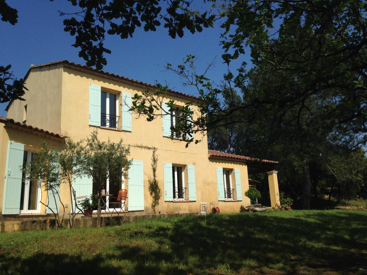 Les marguerites - Housity