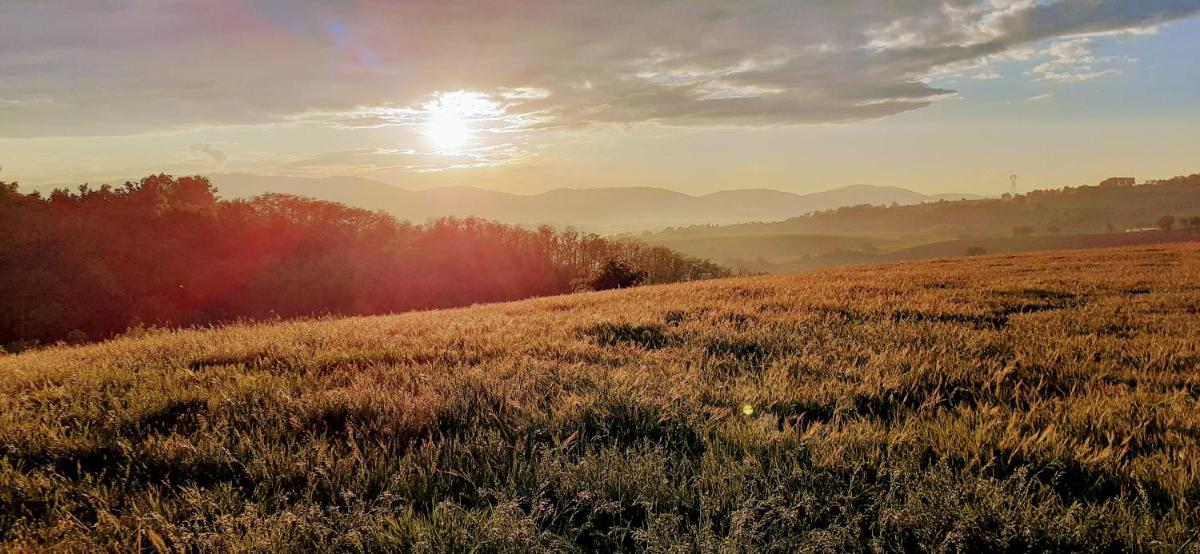 Suitetrails - Une pause sur la colline