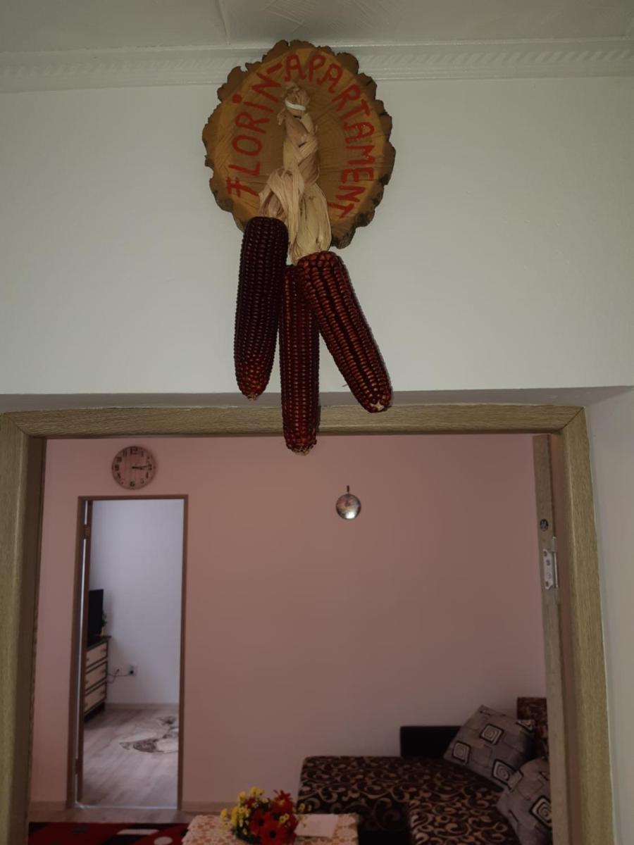 Florin Apartament - Housity