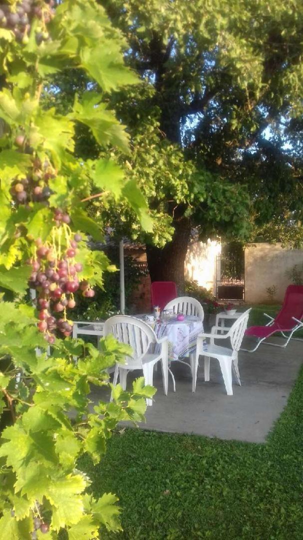Chambre du Raisin - Housity