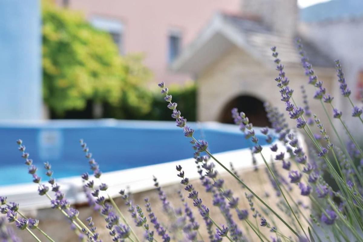 Country House Mar Il - Housity