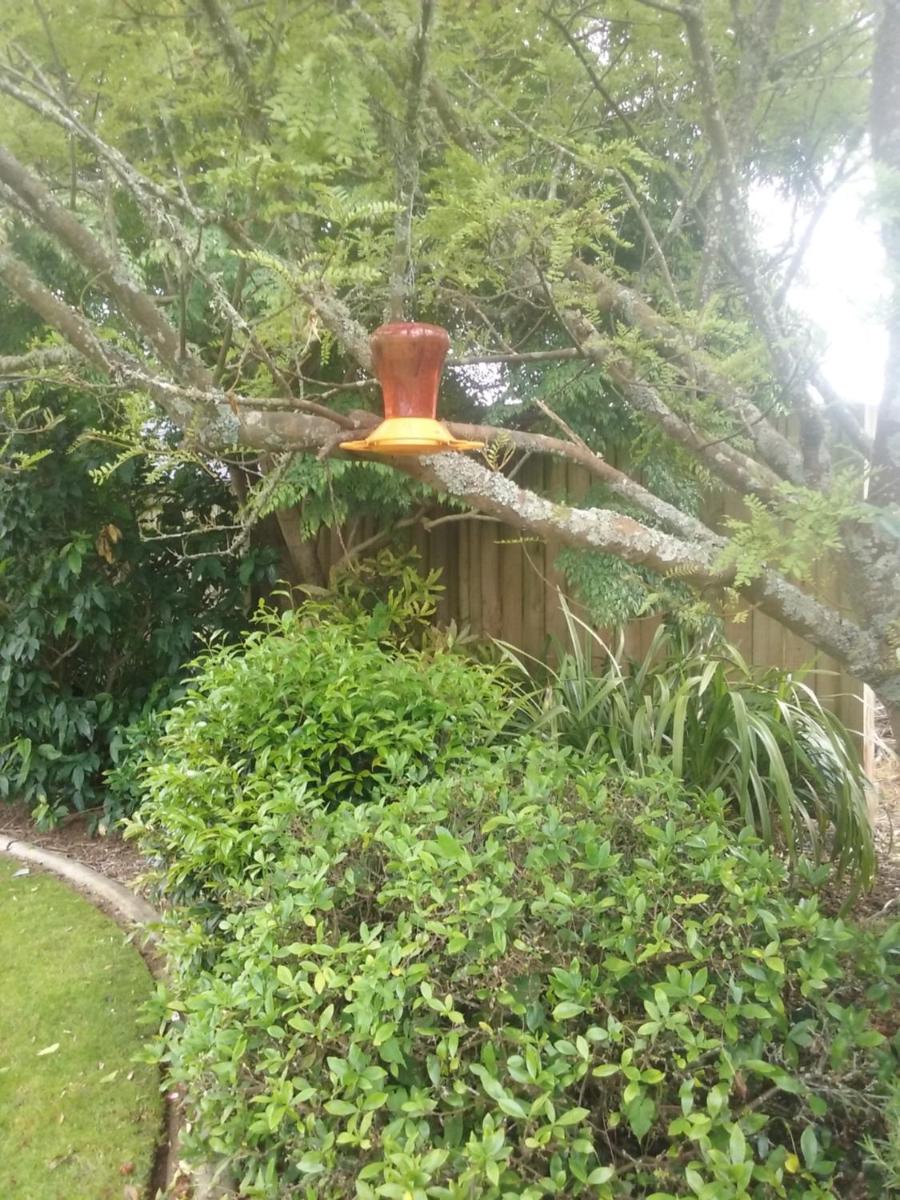 Cabourne Cottage - Housity
