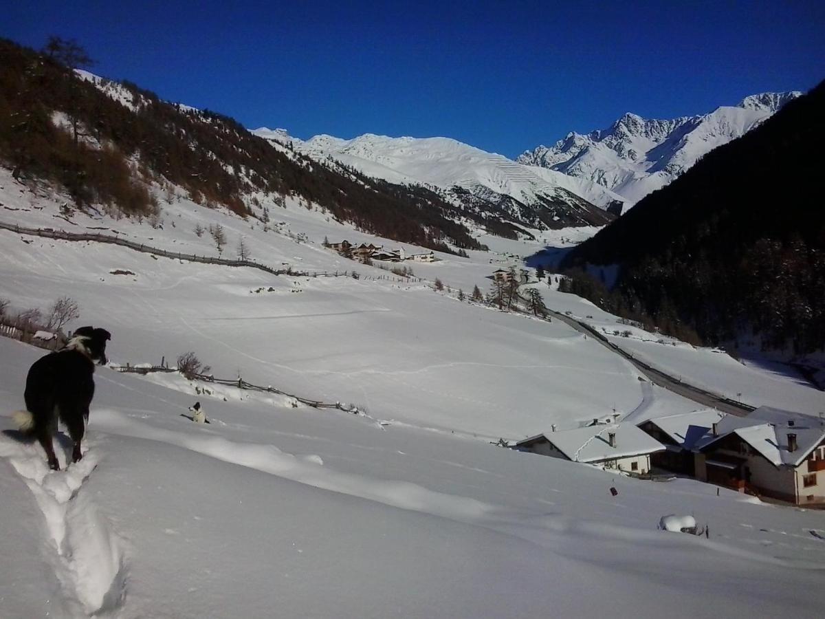 Padoellhof - Housity