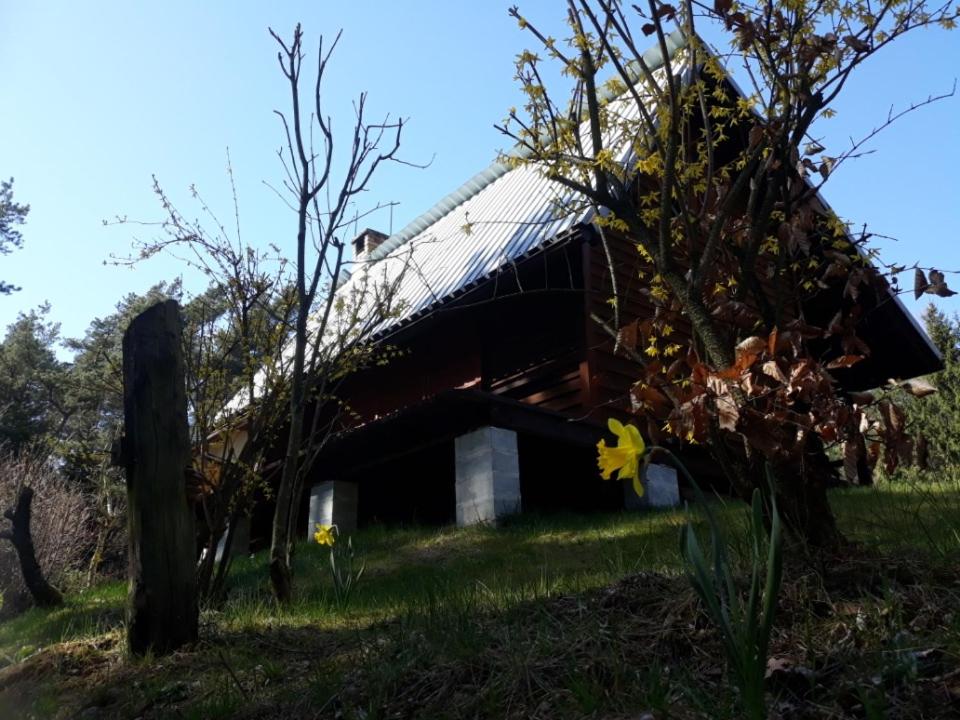 Leśna Polana - Housity