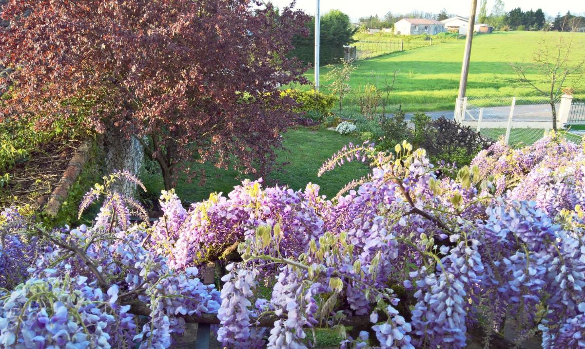 Les Glycines Bed & Breakfast - Housity