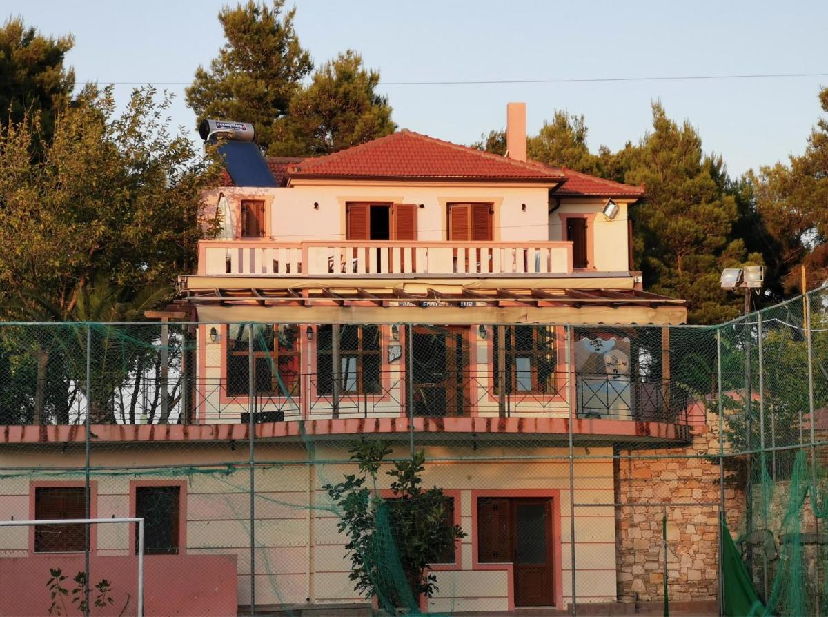 The Pine Tree House - Housity