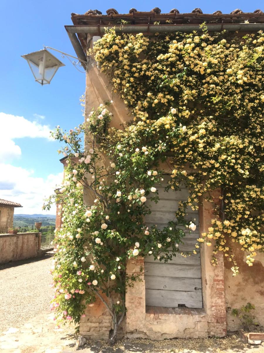 Fattoria di Catignano - Housity