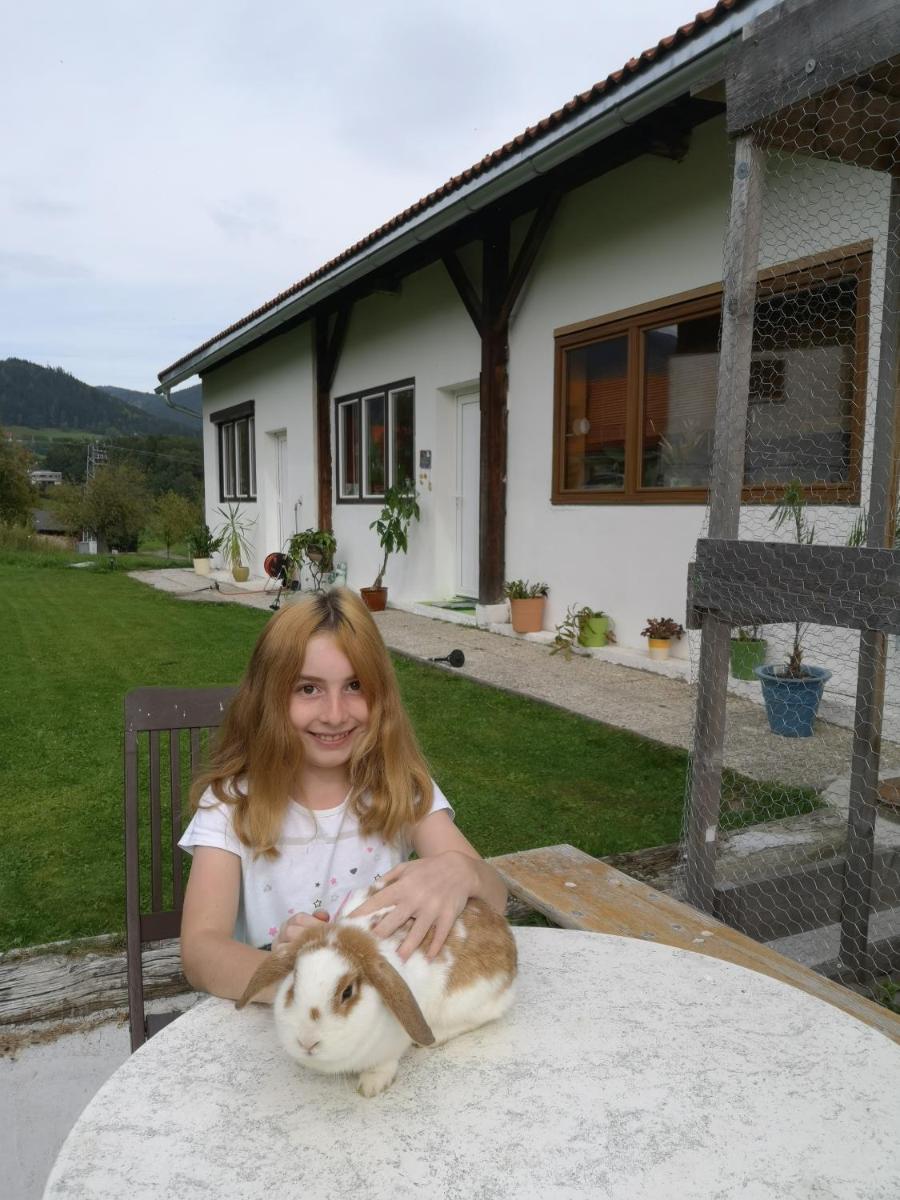 Apartment Rappitsch - Housity