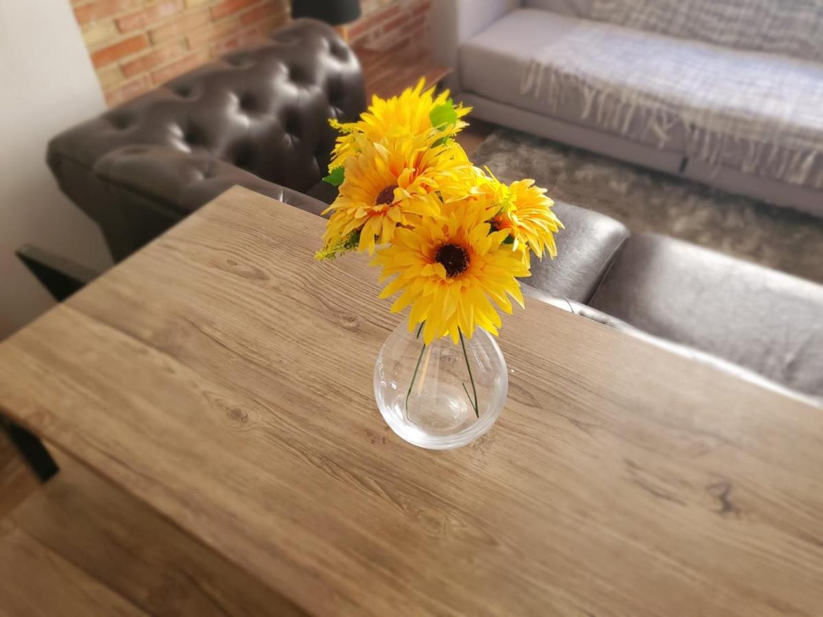Loft. Old city (Happy Alicante) - Housity