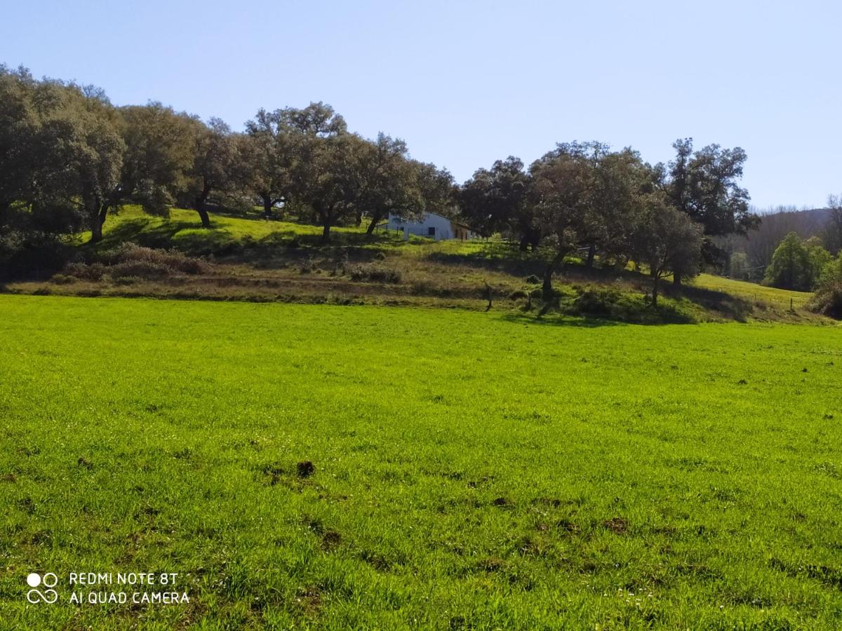 Cercado Forero - Housity