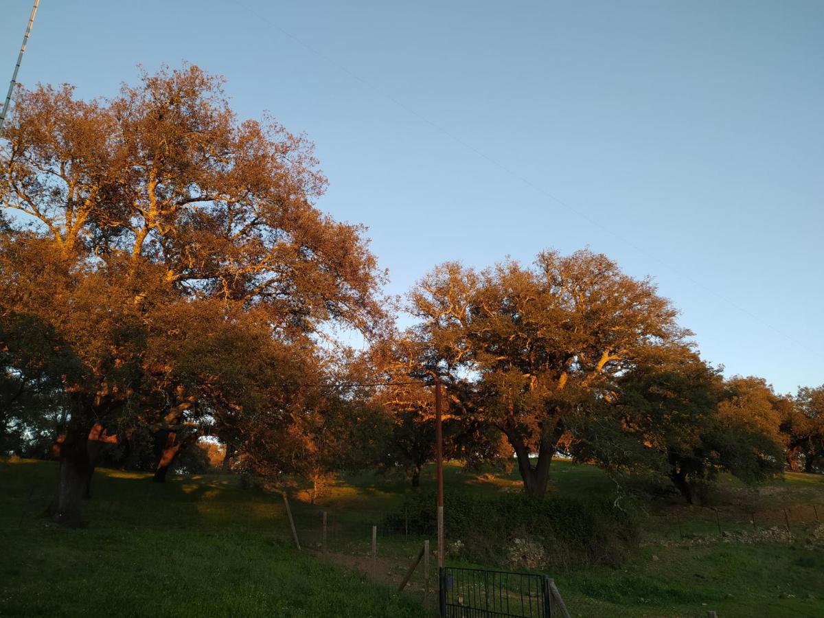 Cercado Forero - Housity