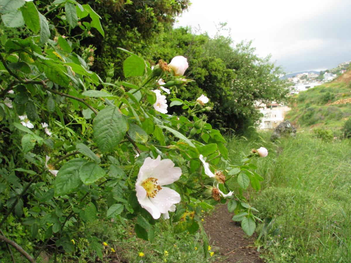 Tourism in the village - Housity