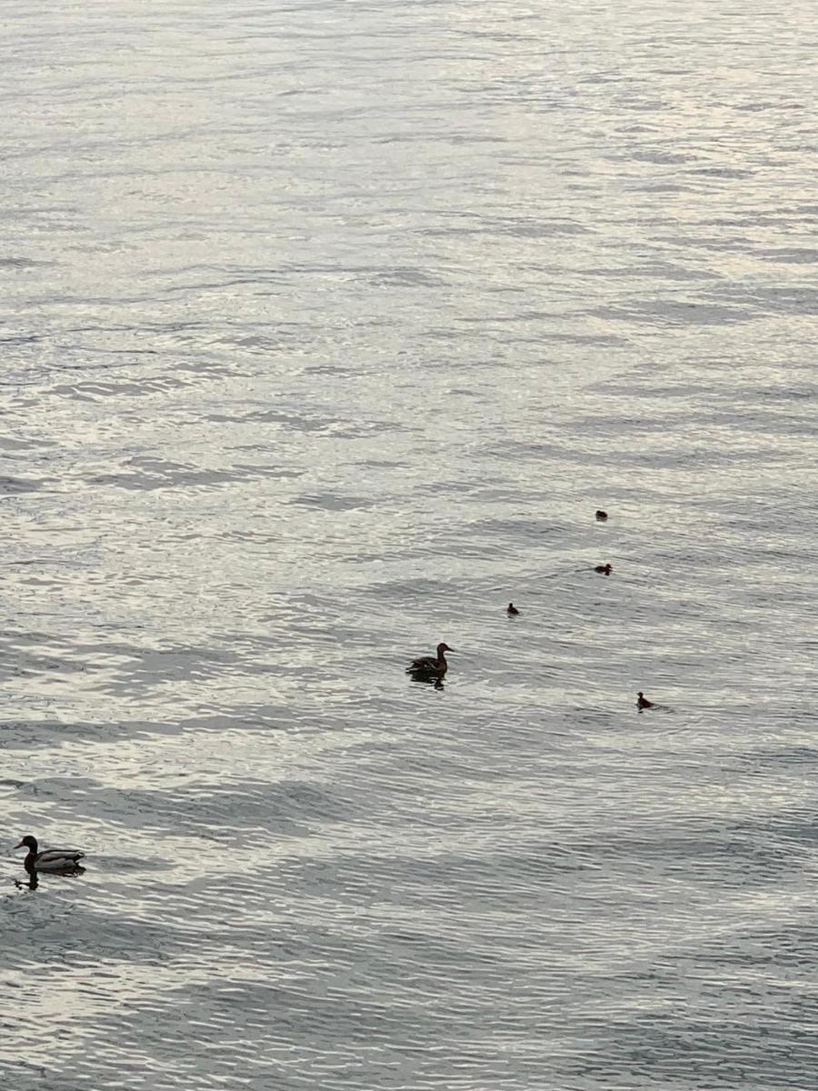 A Casa di Chiara 2 - Housity