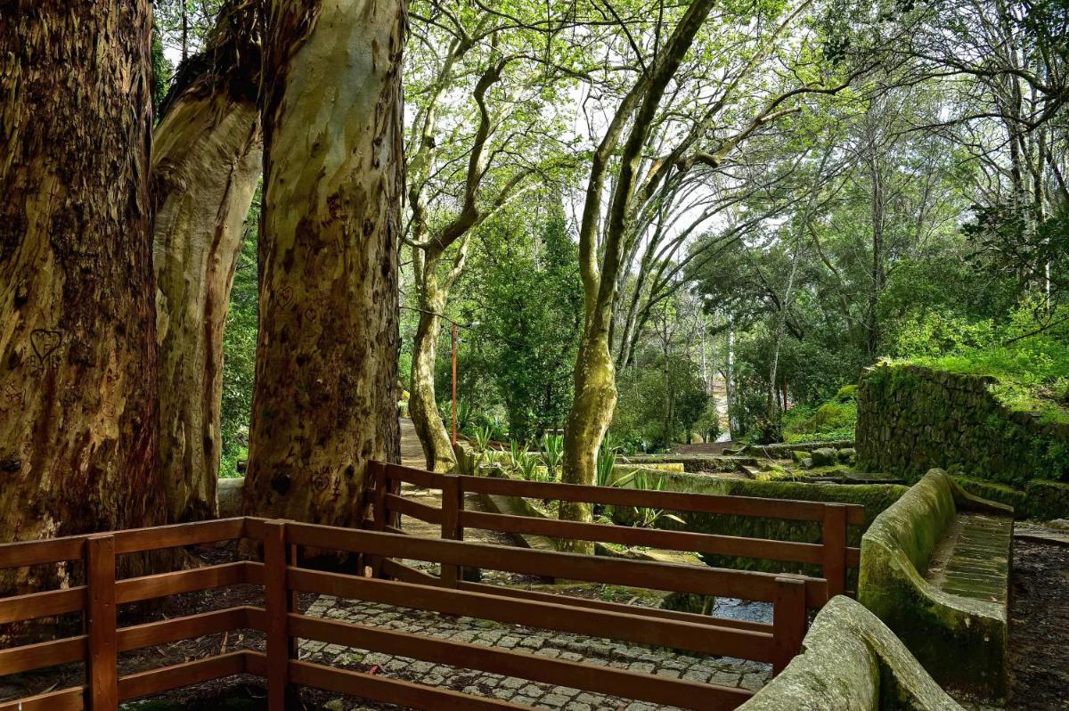 Um jardim no exterior de Central Monchique Hotel - Villa Termal Spa Resort - by Unlock Hotels
