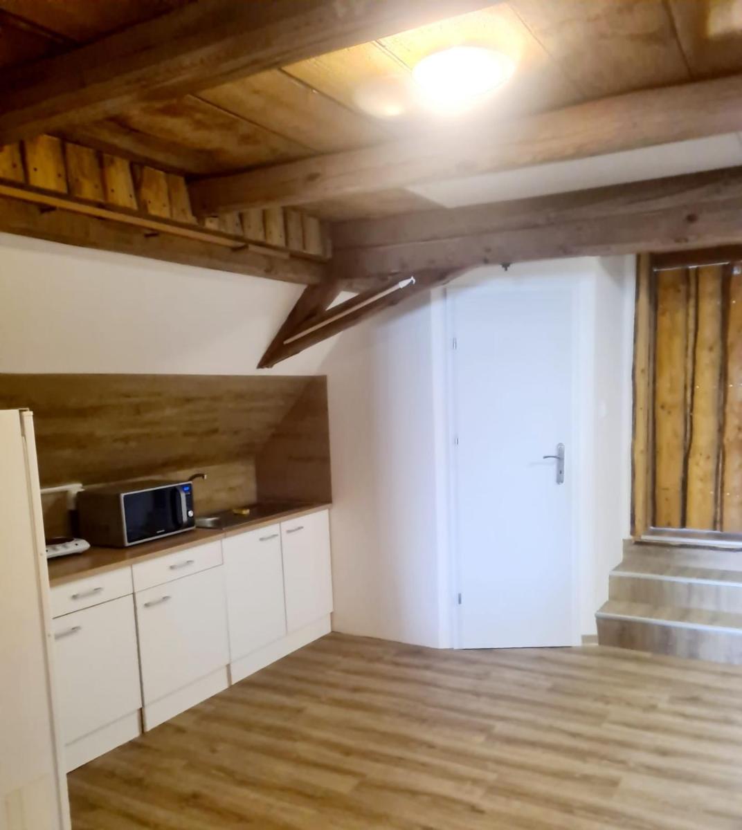 Penzion Ostrov u Stribra 13 - Housity