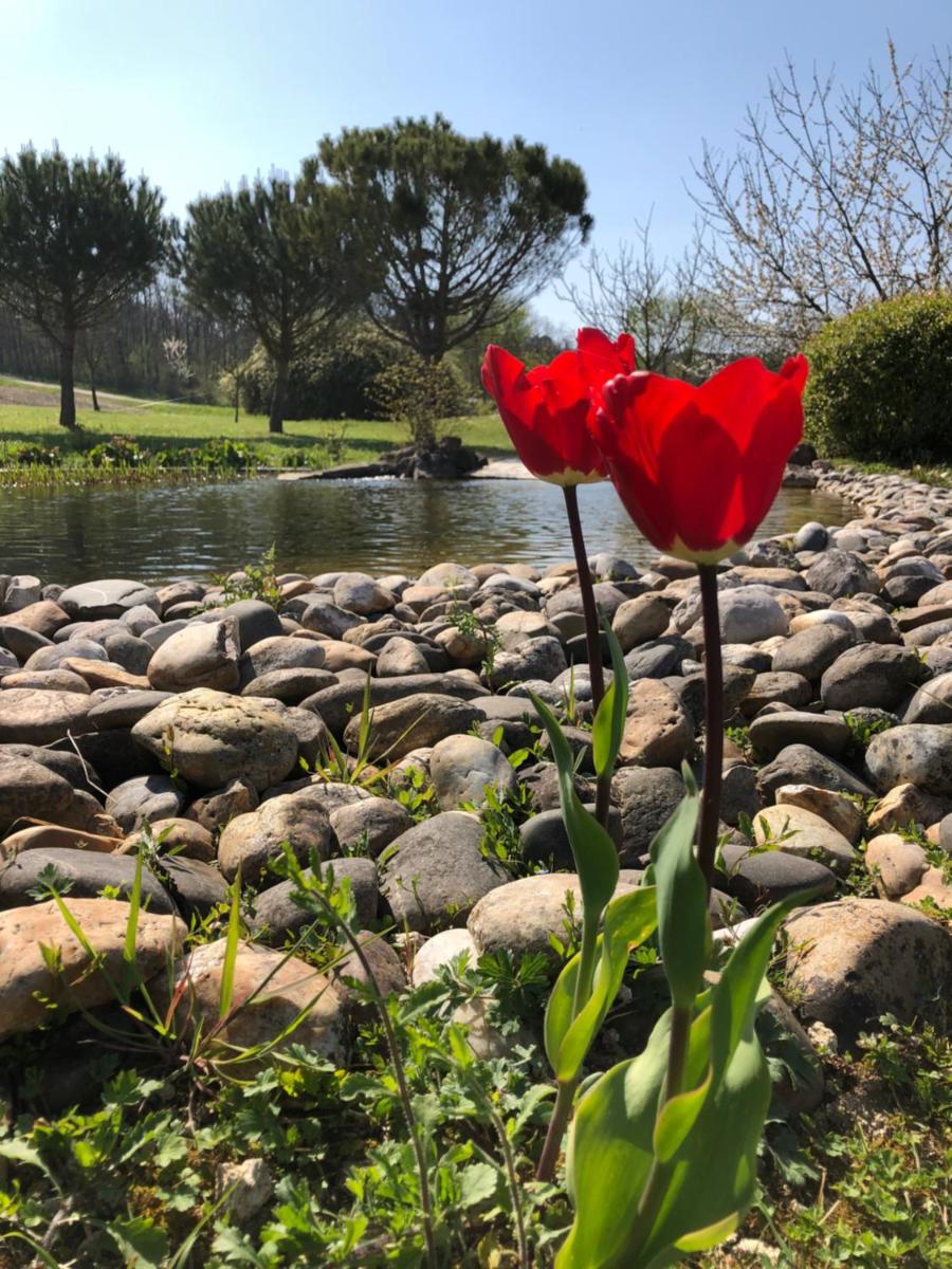 Le Hameau des Coquelicots - Housity