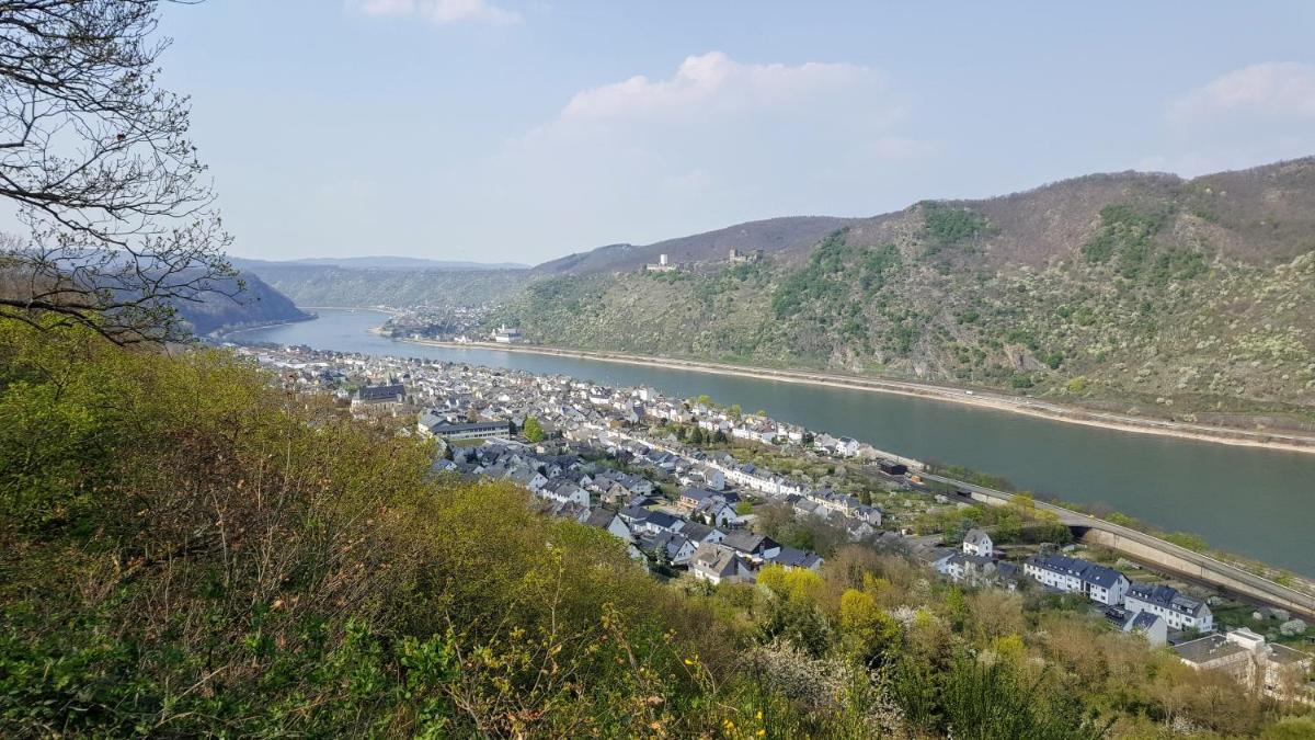 Ferienwohnung Rheinzeit beim Toni - Housity