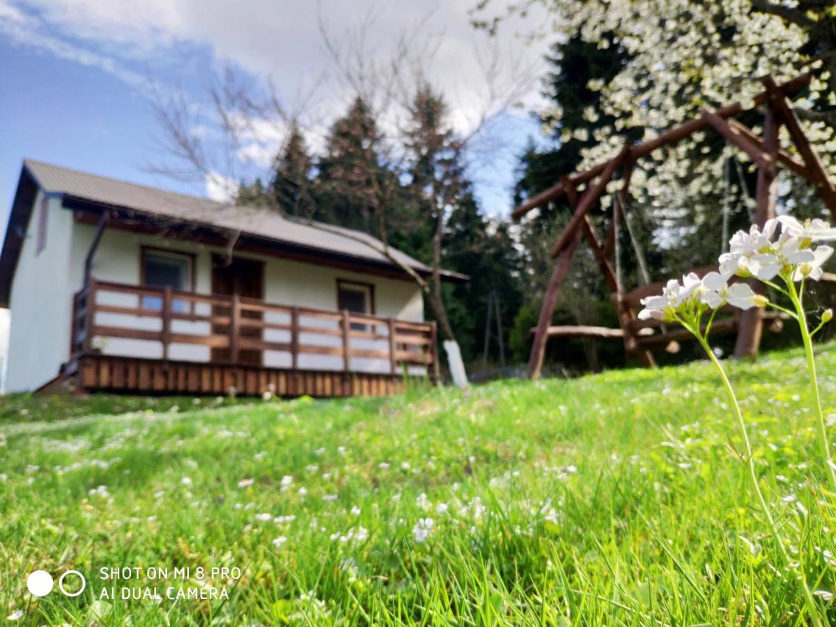 Wierchowyna - Housity