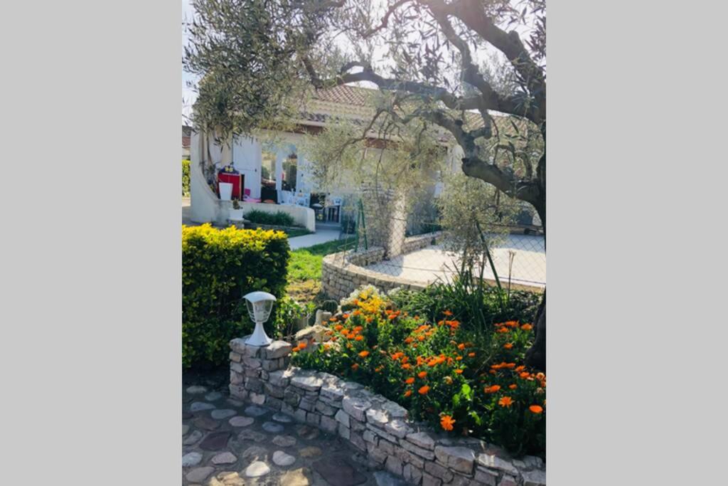 La Villa Piscine paradis - Housity