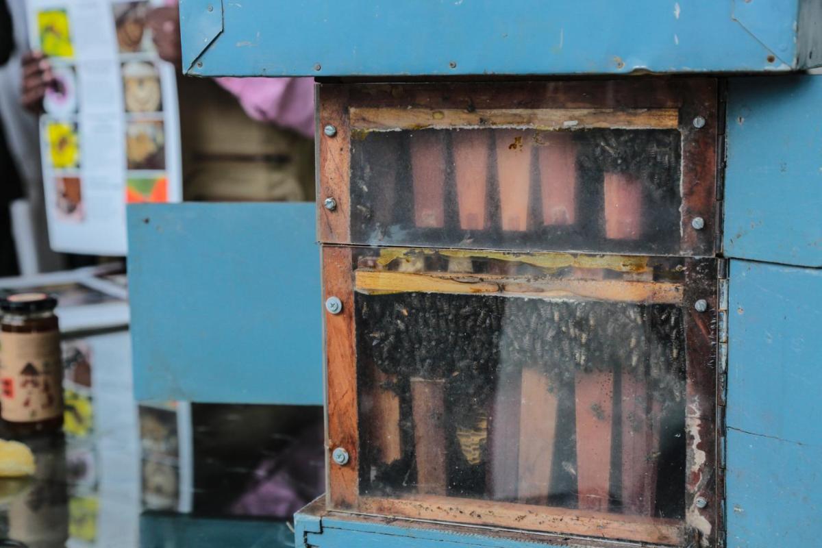 a blue cabinet with a window on top of it at Savoy - IHCL SeleQtions in Ooty
