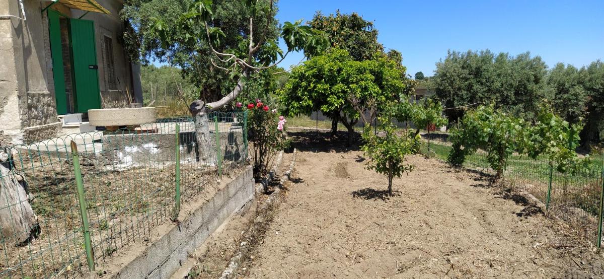 La casetta tra gli ulivi - Housity