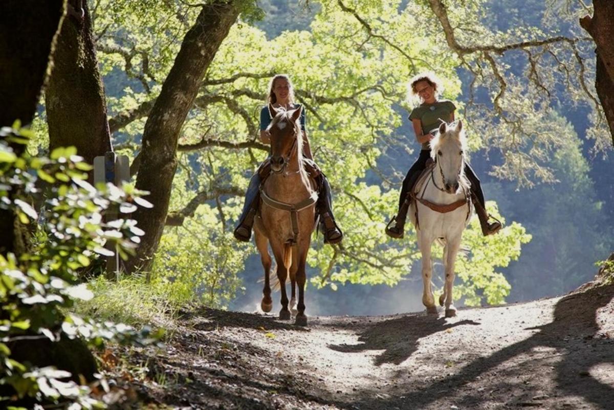 HOTEL HOLIDAYS a Barrea - Natura, Relax e Benessere nel Parco d'Abruzzo - Housity
