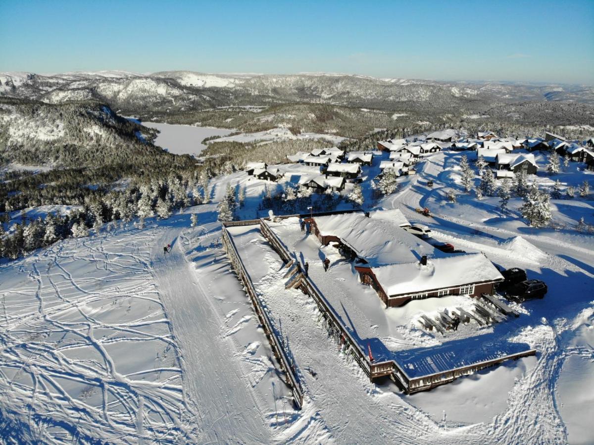 Rytterlia 6 - Housity