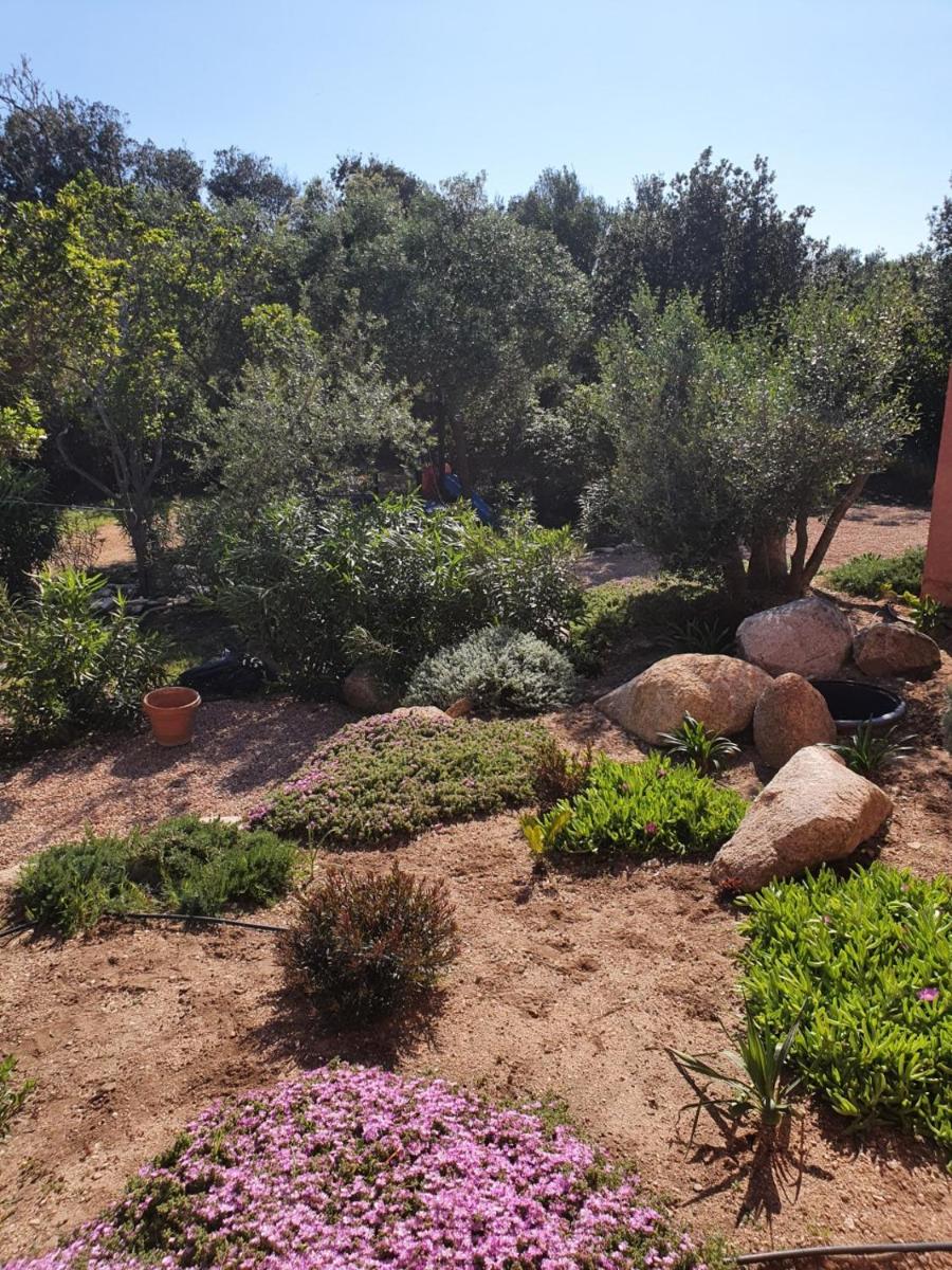 Mini-villas Célia à BONIFACIO - Housity