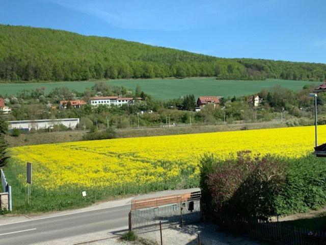 Suitetrails - Ferienwohnung Werratal