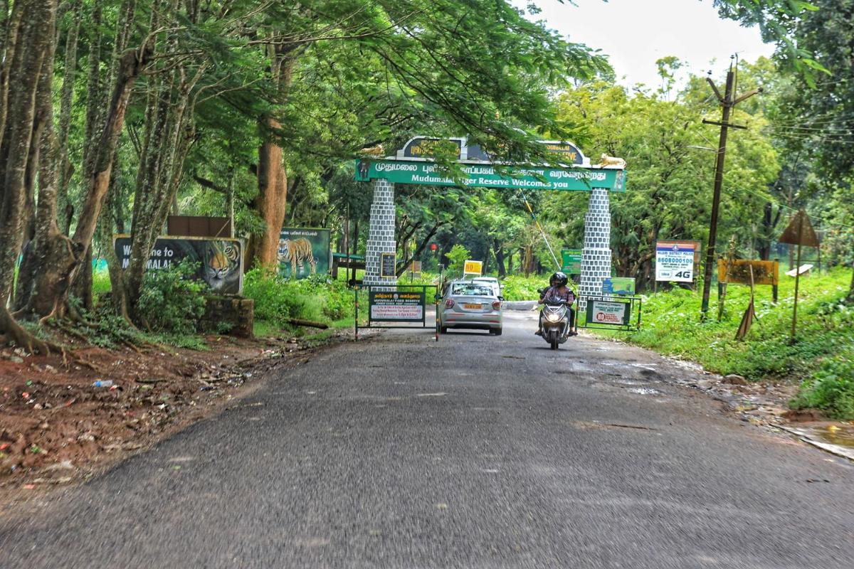 a person riding a motorcycle down a road with a car at Savoy - IHCL SeleQtions in Ooty
