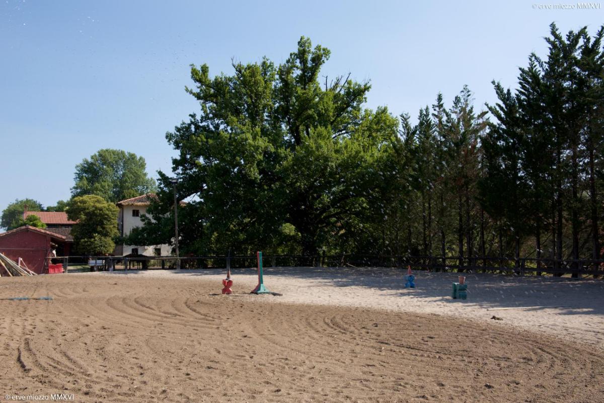 Villa Mainardi Agriturismo - Housity